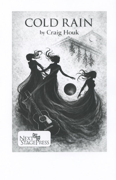Craig Houk COLD RAIN by Craig Houk – Next Stage Press
