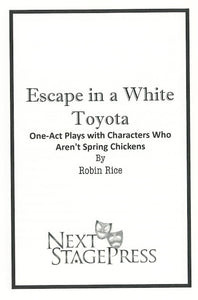 ESCAPE IN A WHITE TOYOTA by Robin Rice