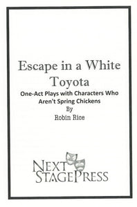 ESCAPE IN A WHITE TOYOTA by Robin Rice - Digital Version