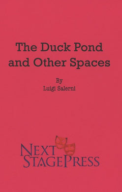 THE DUCK POND AND OTHER SPACES by Luigi Salerni