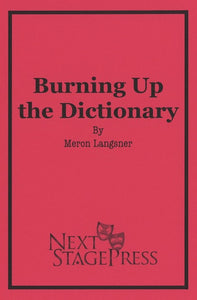 BURNING UP THE DICTIONARY by Meron Langsner